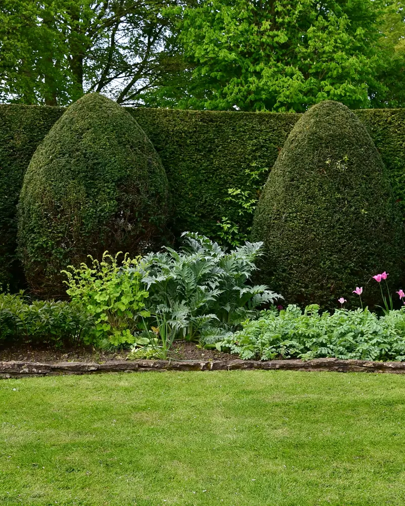 richard-fordham-hedge-maintenance-1