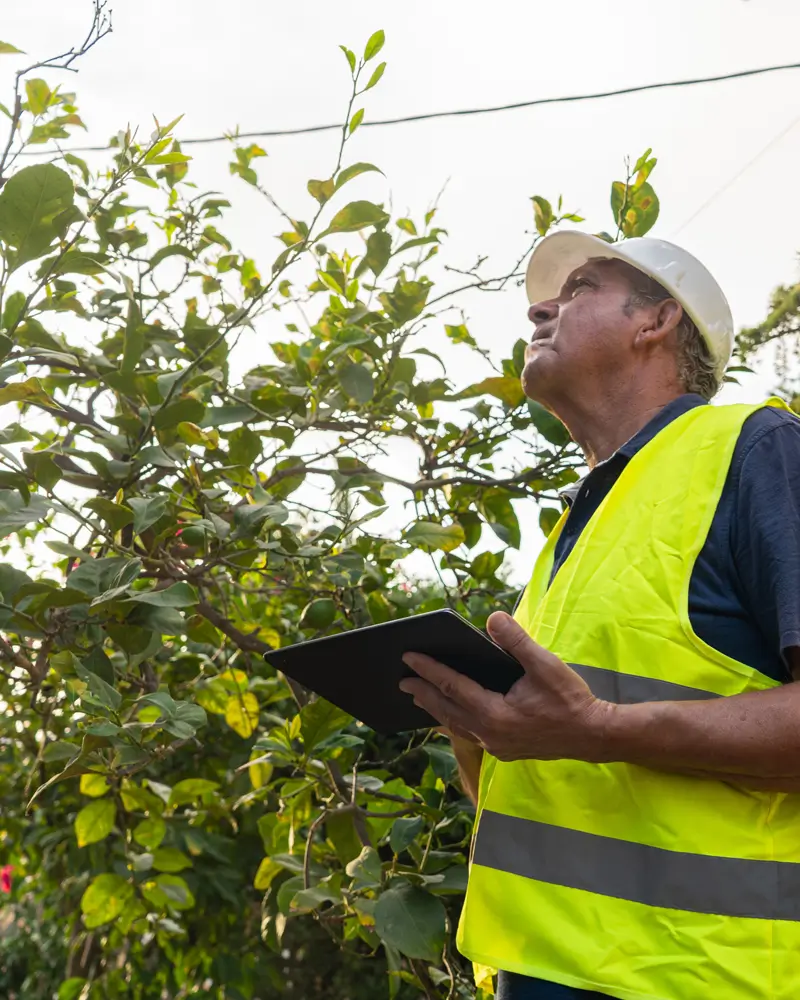 richard-fordham-hedge-maintenance-2